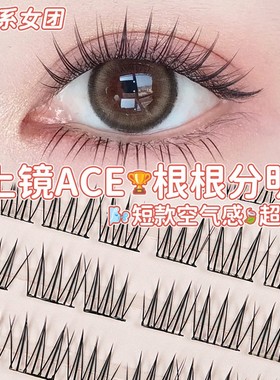 Yelix 免胶自粘ACE韩系女团假睫毛爱豆同根根分明日常自然 眼睫贴