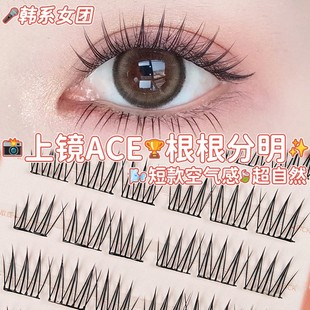 Yelix 眼睫贴 免胶自粘ACE韩系女团假睫毛爱豆同根根分明日常自然