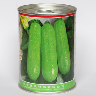 【南美西葫芦种子】进口种子菜瓜种子蔬菜种子 适合阳台弱光种植