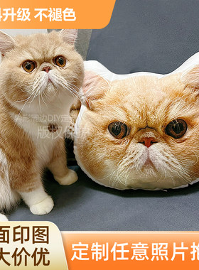 异形宠物狗狗猫咪抱枕毕设定制