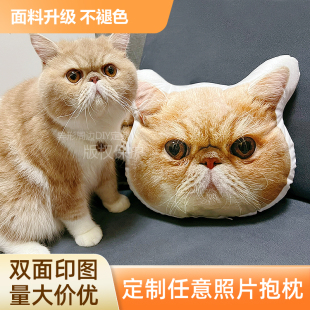 diy照片抱枕异形定做宠物狗狗猫咪动漫公仔仿真毕设靠枕 来图定制