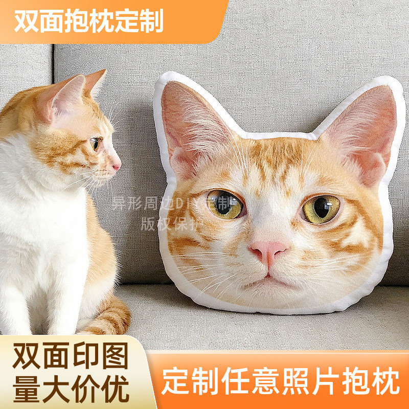 宠物动漫照片定制抱枕纪念异形靠枕来图定做diy猫咪狗狗人形公仔,居家布艺,靠垫/抱枕,淘宝优惠券,粉丝福利购,淘宝优惠卷
