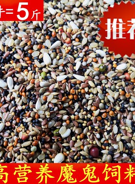 赛动力魔鬼观赏鸽育雏精细鸟食