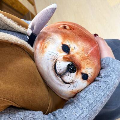 【象公我的刀盾】柴犬狗抽情包表玩偶猎奇搞毛怪绒送生日礼物DOX