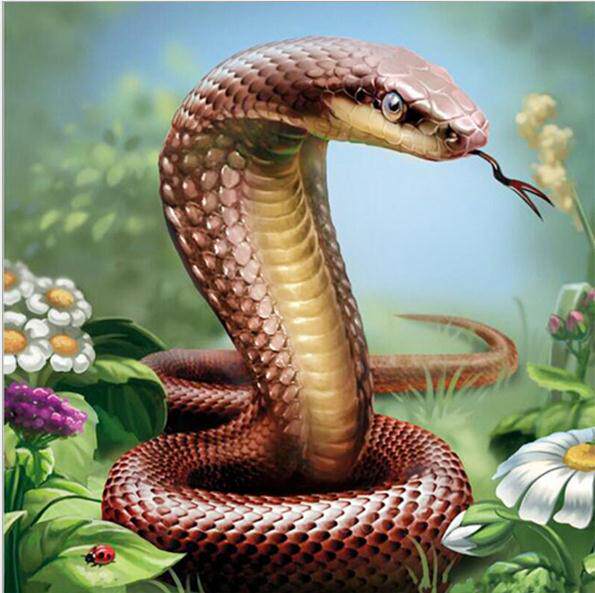 眼镜蛇钻石画2022新款小幅客厅卧室点贴粘钻十字绣动物满钻钻石绣