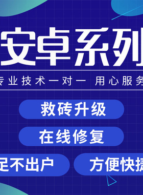 适用于x20 mate30 P40 30 20Pro nova7 畅享10 8x 9s远程手机维修