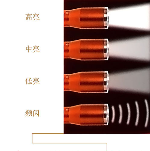 SNAP-ON强光可充电18650手电