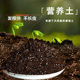 营养泥炭土黑土种花土腐殖土有机土多肉种植矾根专用土育苗基质土