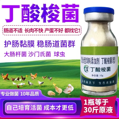 丁酸梭菌鸡鸭鹅鸽子鹌鹑肠道球虫