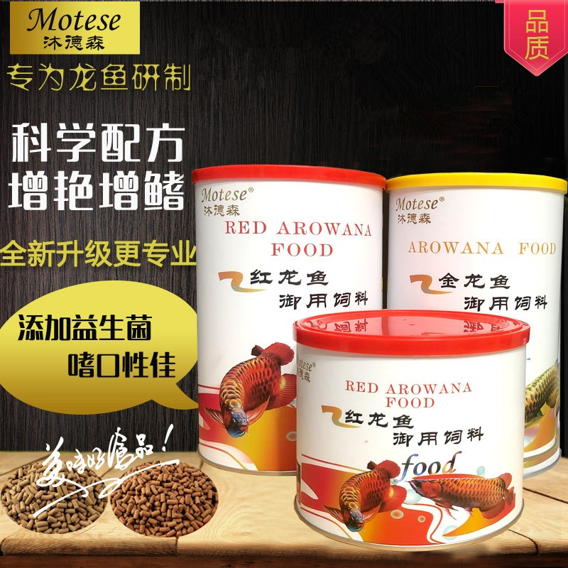 增艳红亮金龙红沐德森