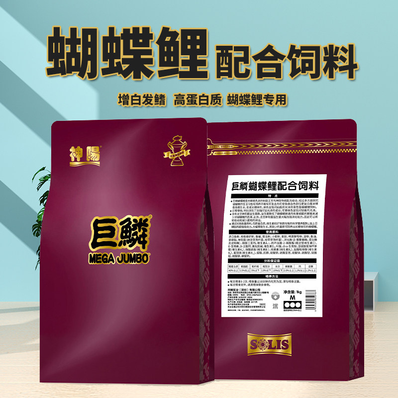 神阳锦鲤中国锦鲤增白