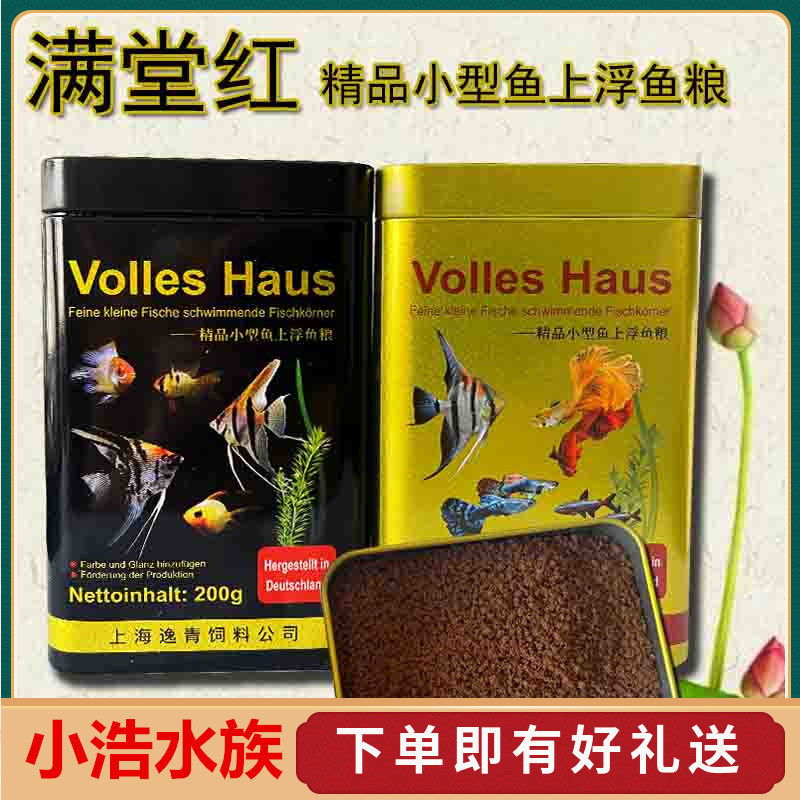 满堂红孔雀鱼中国小型鱼