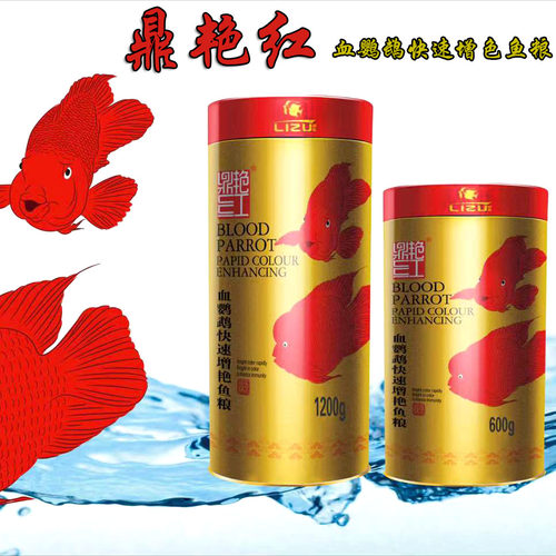 鼎艳红鹦鹉鱼食元宝血鹦鹉快速上色增艳红饲料上浮颗粒鱼粮不浑水