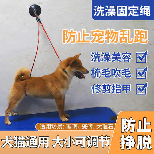狗狗洗澡固定神器美容台