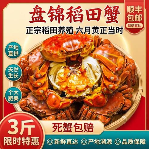 盘锦六月黄鲜活大闸蟹礼盒14只