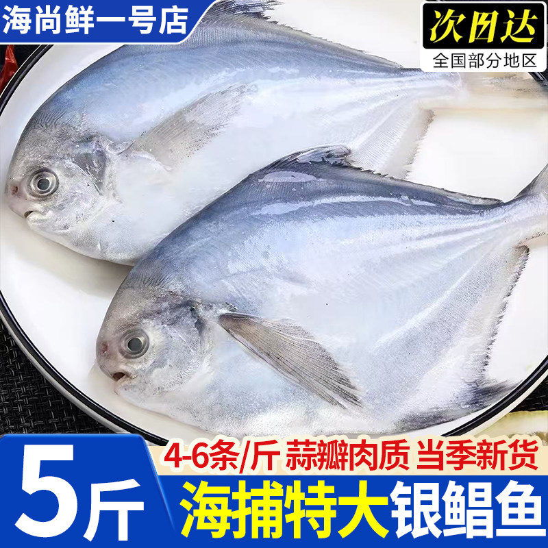 深海特大银鲳平鱼冷冻新鲜