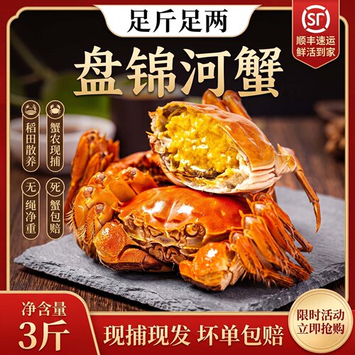 盘锦鲜活无绳净大闸蟹礼盒团购
