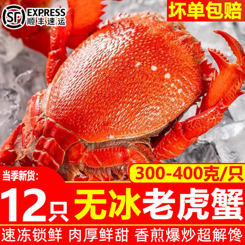 海捕冰鲜大只老虎蟹顺丰