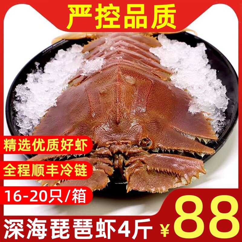 琵琶虾4-5只/斤新鲜海捕活虾速冻
