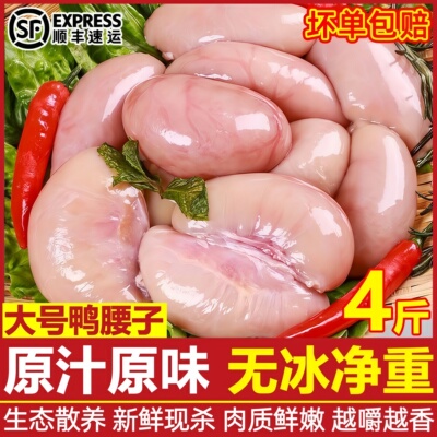 赤峰散养鲜冻大号公鸭腰子