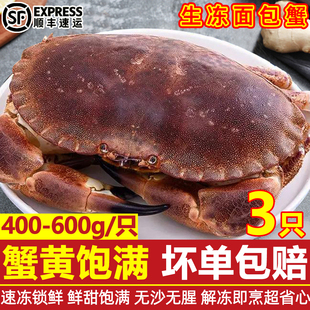 面包蟹鲜活冷冻新鲜海鲜水产大螃蟹大号黄金蟹珍宝蟹商用整箱顺丰