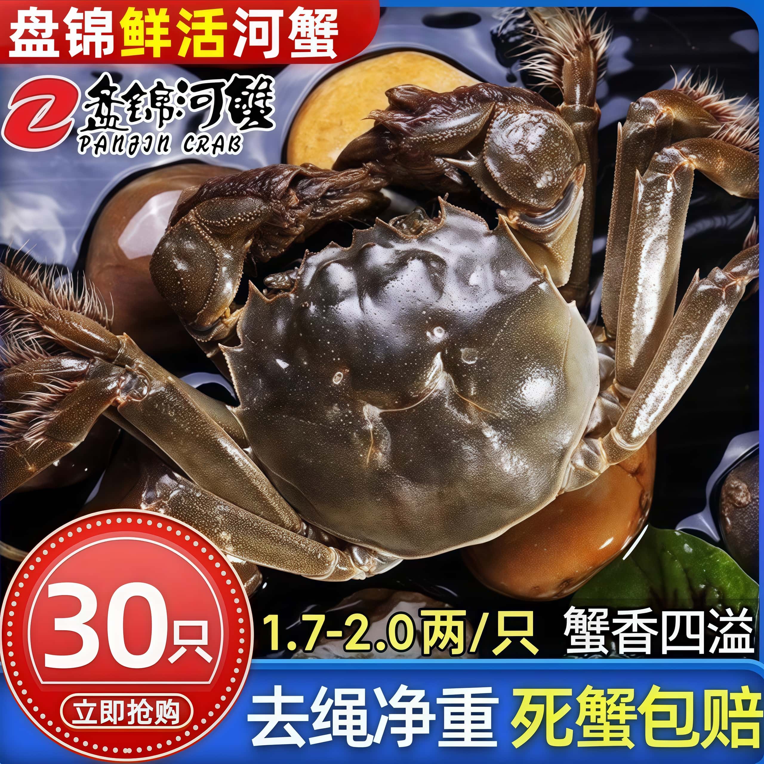 盘锦河蟹无绳净重鲜活盘锦螃蟹