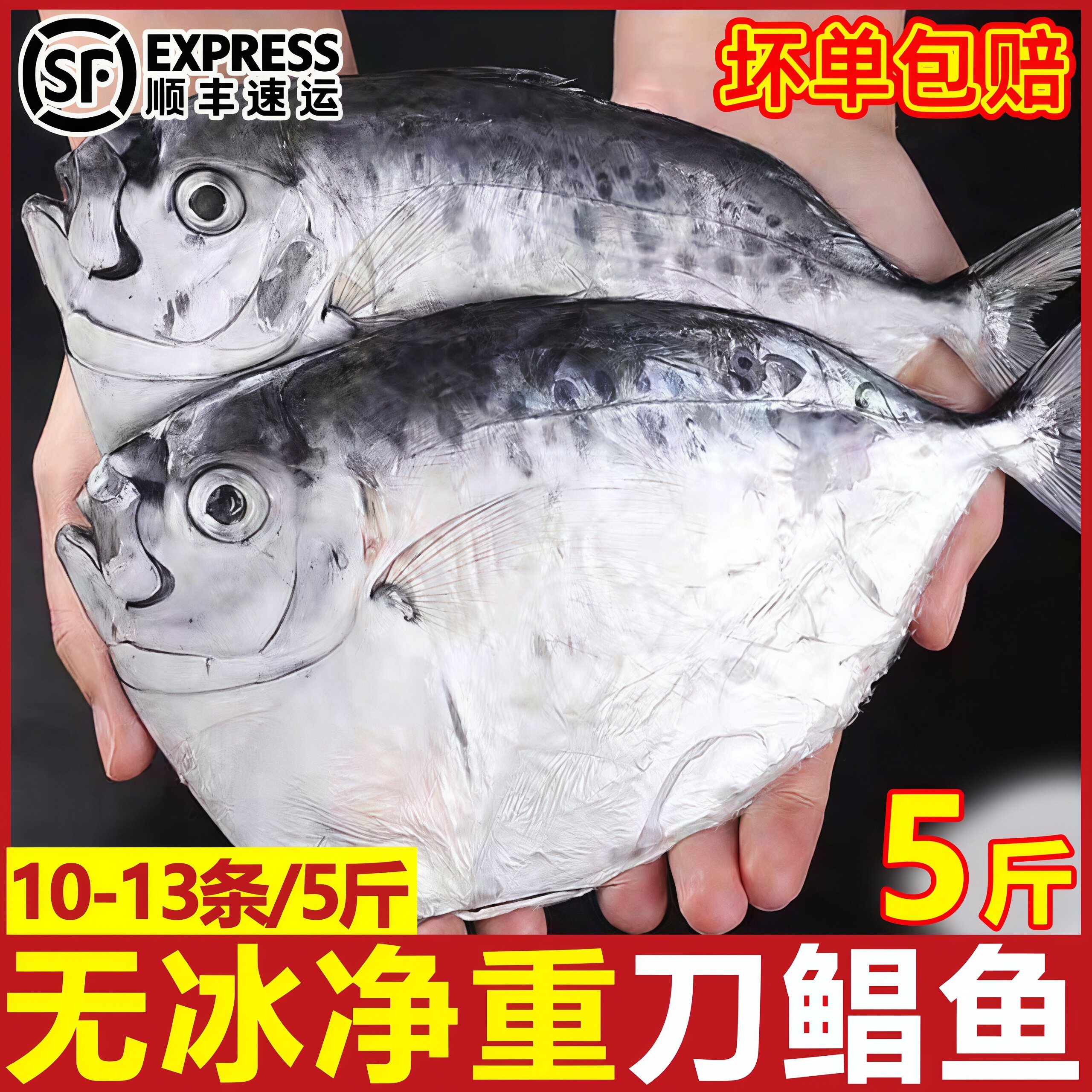 无冰特大冷冻鲳鱼整箱批发