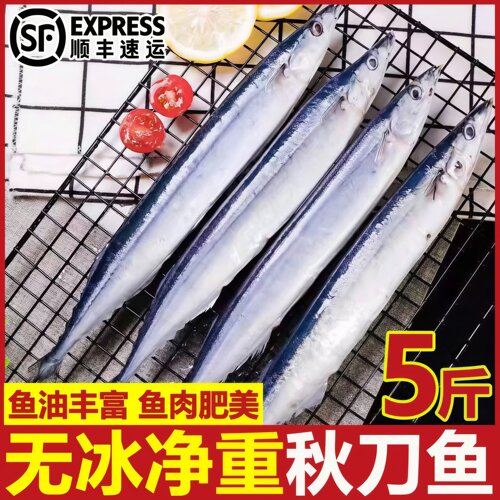 深海秋刀鱼新鲜海捕特大号鲜活冷冻日式料理烧烤海鲜水产年货批发