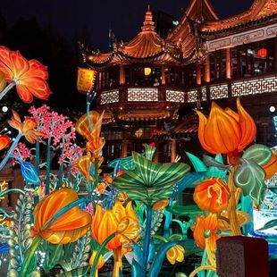 宵装 LED户外灯光节卡通动物发光造型灯大型商场春节元 饰花灯亮化