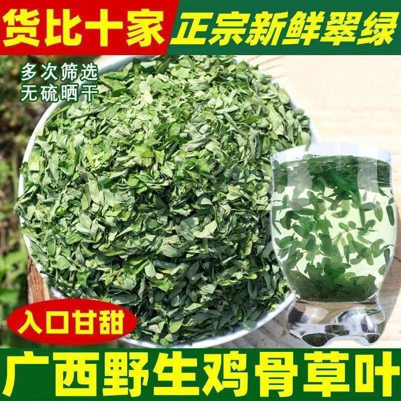 广西新鲜鸡骨草叶子草藤护肝养生煲汤鸡骨草叶正宗干货清热清香
