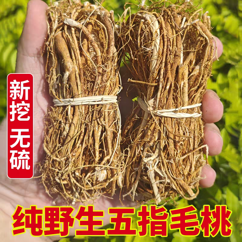 广西野生五指毛桃根正宗新鲜干货土茯苓煲汤料茶特级五爪龙中药材