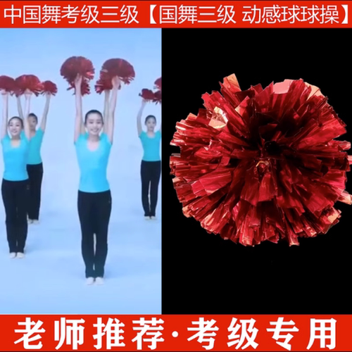 文旅部人才中心中国舞艺术考级第三级动感球球操舞蹈道具手球一对