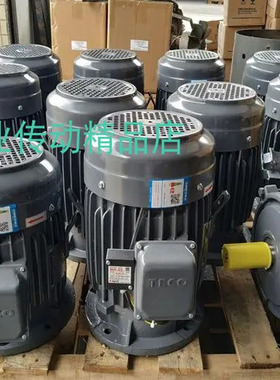 AEVF-IN2 160MS 15HP 11KW SEING ELEC.& MACH CO.,LTD电动机