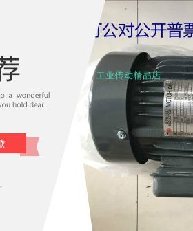 SHINGSENG新生精技电机  马达   HEV-GP  0.75KW