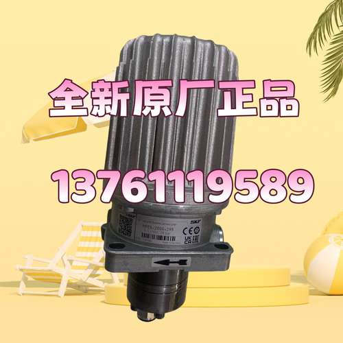 SKF油泵电机组DU56N2075+299