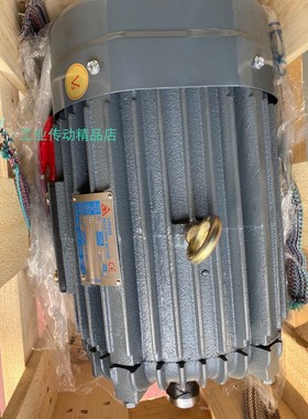 SEING电机 10HP 7.5KW SEING马达  AEEFJB132SL-F 11KW  CNS-2934