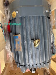台湾SEING电机  SEING马达  EFJB  15HP  11KW   2P   AEFJB