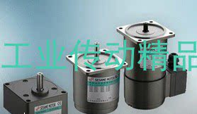 SESAMEMOTORCORP电机世协马达
