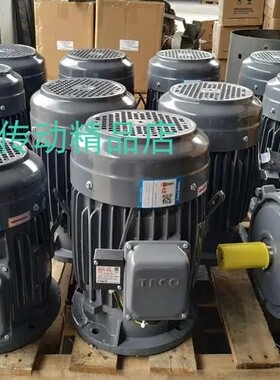 TECO电机   AEEF-PP022 马达  ERUK-338 AEEV1H71M-6  0.12KW