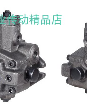 LSHE油泵  LISHENG叶片泵    LSVPDF-2012-A1-12 VPE20