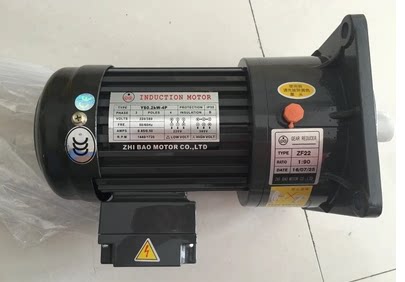 ZF22  1:90 1:100  YSO.2KW-4P  ZHI BAO电机 马达   YS0.2KW-4P