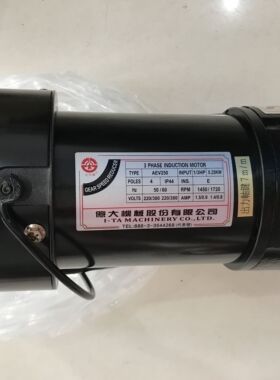 FME18 1/3HP 0.25KW AEV250 亿大机械刀库电机 ATC北大牌马达