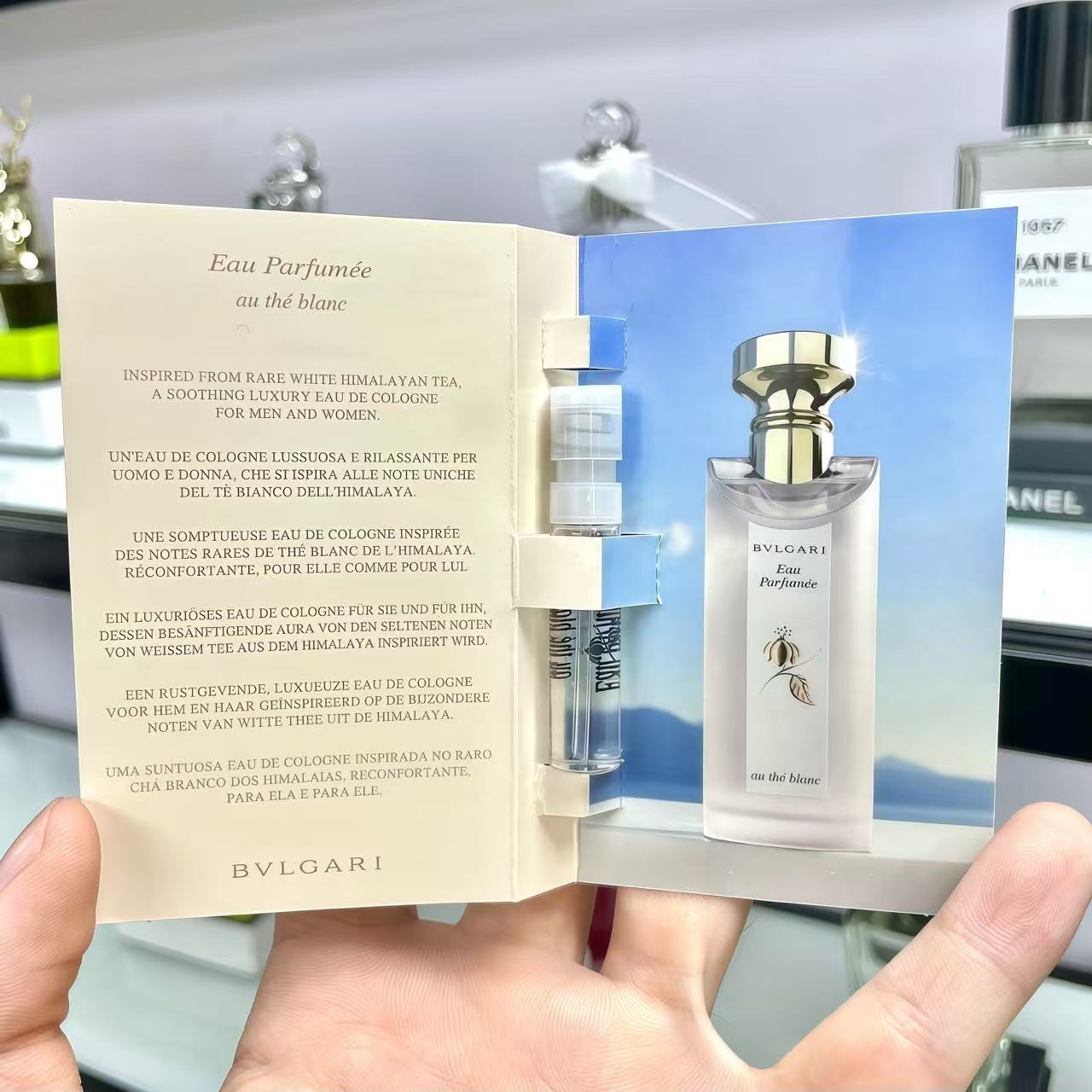 大吉岭茶白茶森林之光欢沁玫香酷幽城市森林姿玉宝石香水原装小样