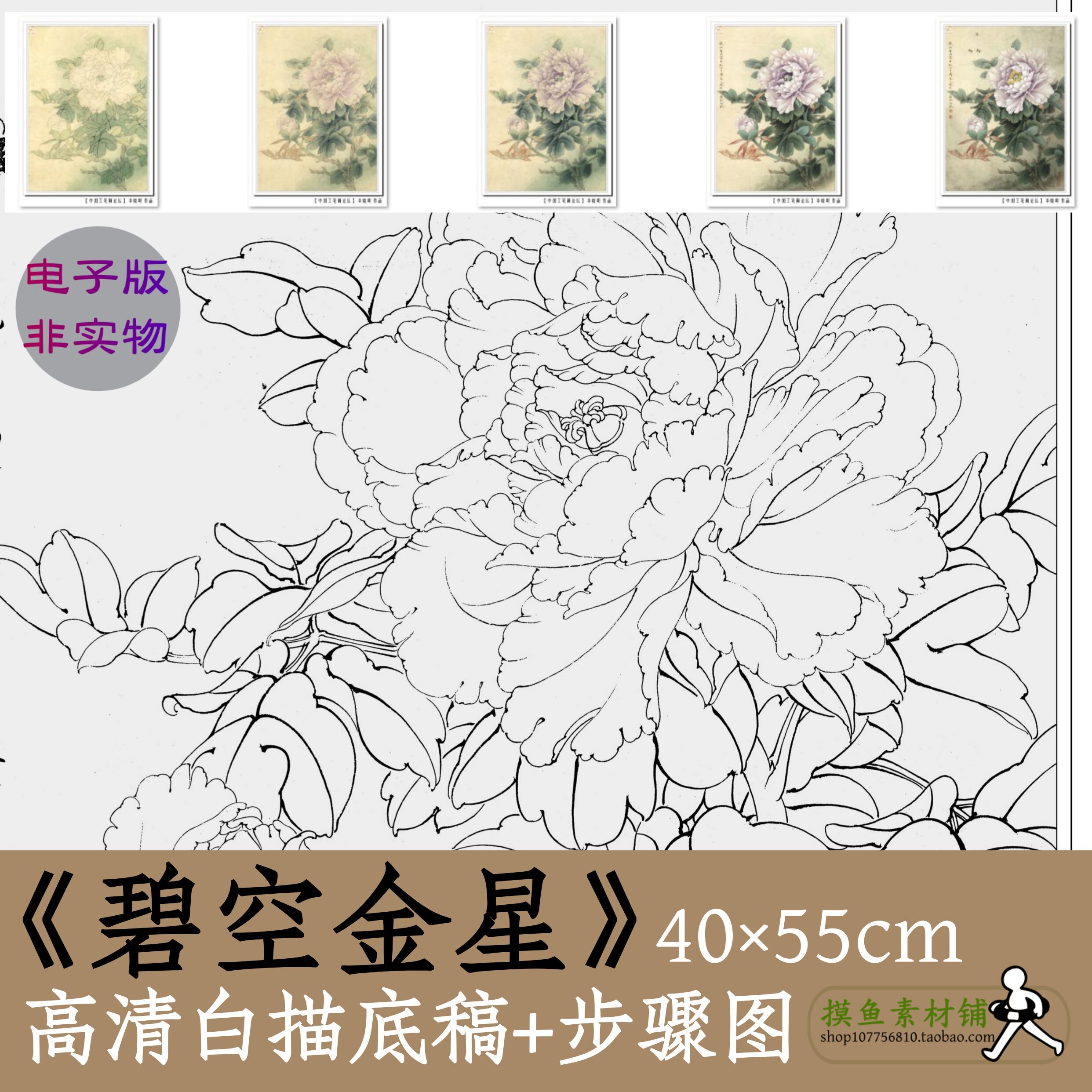 工笔牡丹图电子版白描勾线稿中国画初学临摹带步骤图x173碧空金星