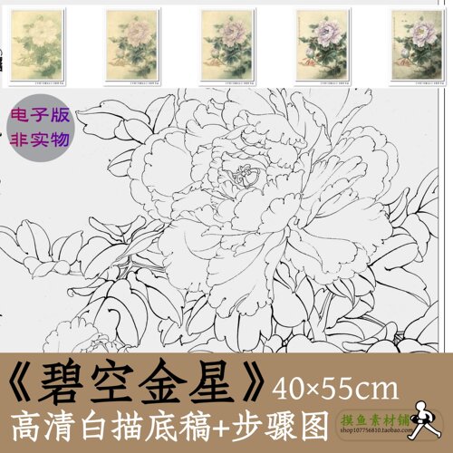 工笔牡丹图电子版白描勾线稿中国画初学临摹带步骤图x173碧空金星
