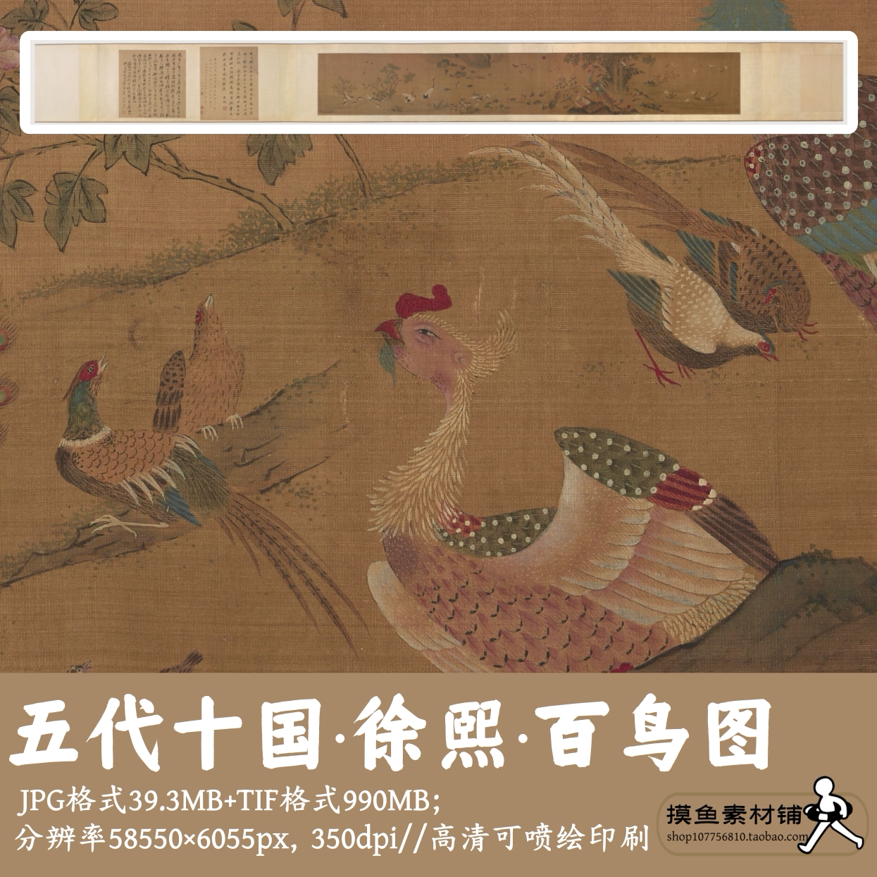 徐熙百鸟图长卷/高清电子版长卷中国画白鹤孔雀可打印刷g13521