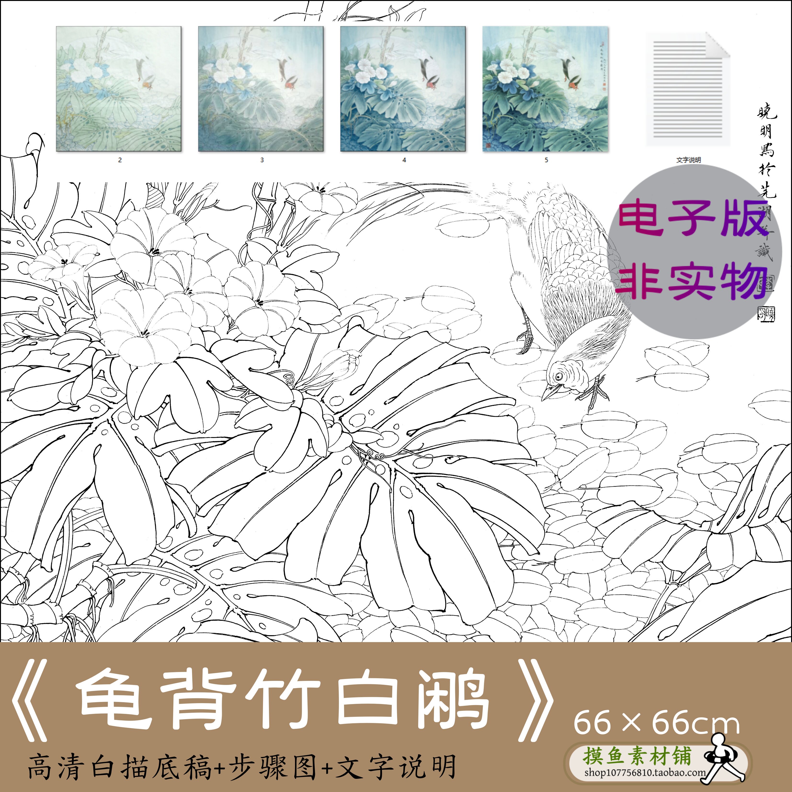 龟背竹白鹇鸟 工笔禽鸟白描底稿电子版 李晓明带步骤图临摹x196