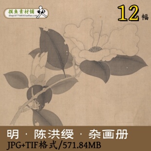 明代陈洪绶杂画册/国画工笔画集绘画集花鸟花卉临摹原图TIFgd1019