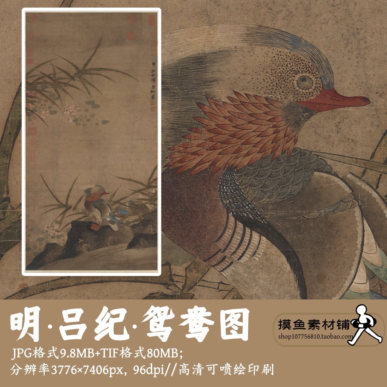明代吕纪鸳鸯图电子图片中国画客厅装饰挂画芯临摹素材G17037