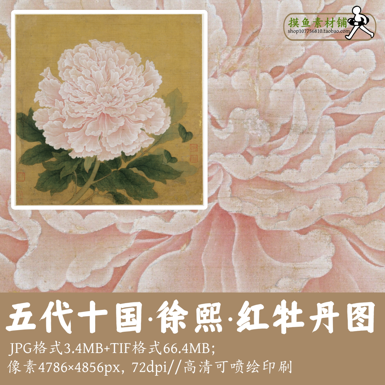徐徐/红牡丹图/中国画植物国花牡丹图工笔花卉电子版素材图gd1353